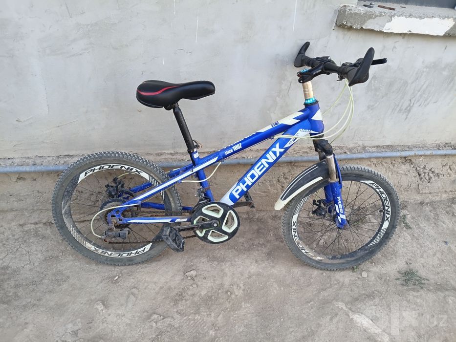Velosiped phoenix