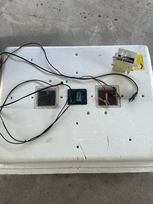 Инкубатор для яйцо