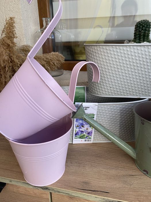 Саксии всичко за 15€