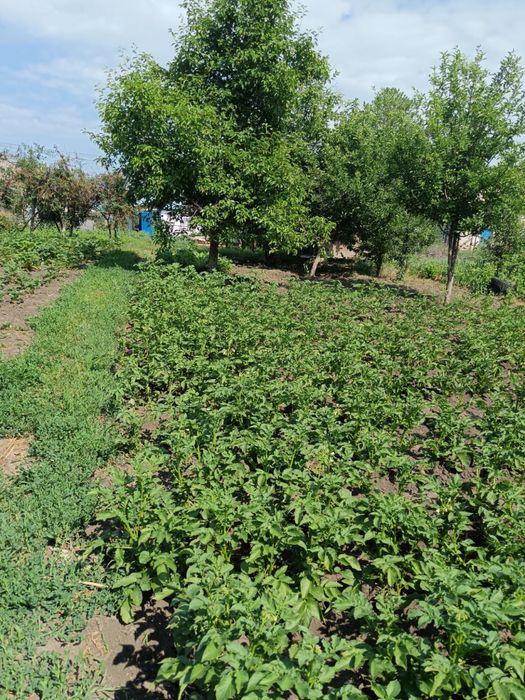 Продам дачу 2-я дачная направо