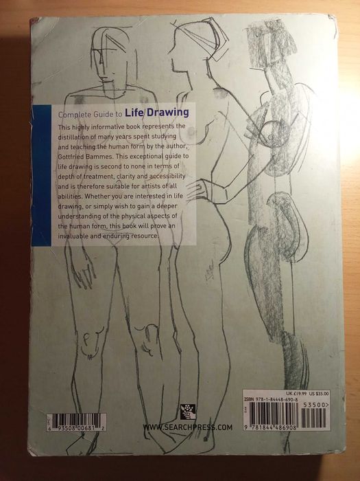 Бамес на английски. Анатомия