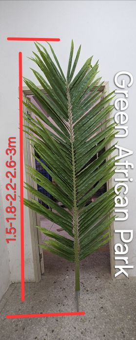 Пальмовы  листья