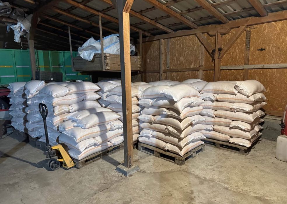 Vând Porumb uscat gata pus in saci cu transport la domiciliu