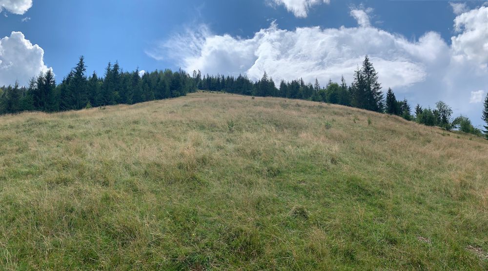 Vand teren comuna Horea