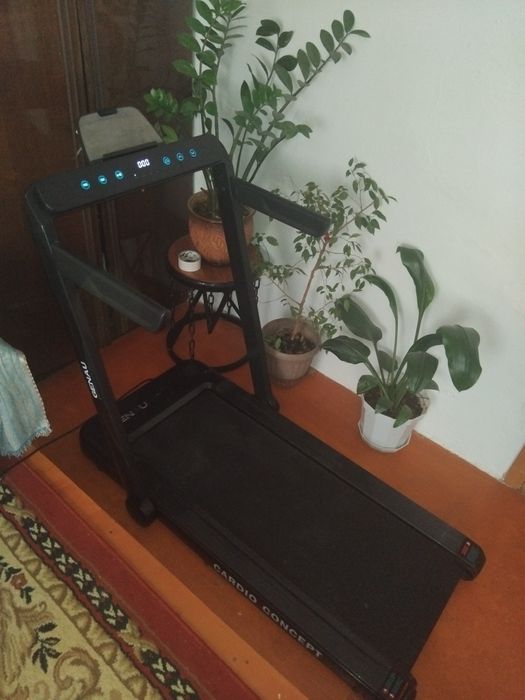 беговая дорошка.