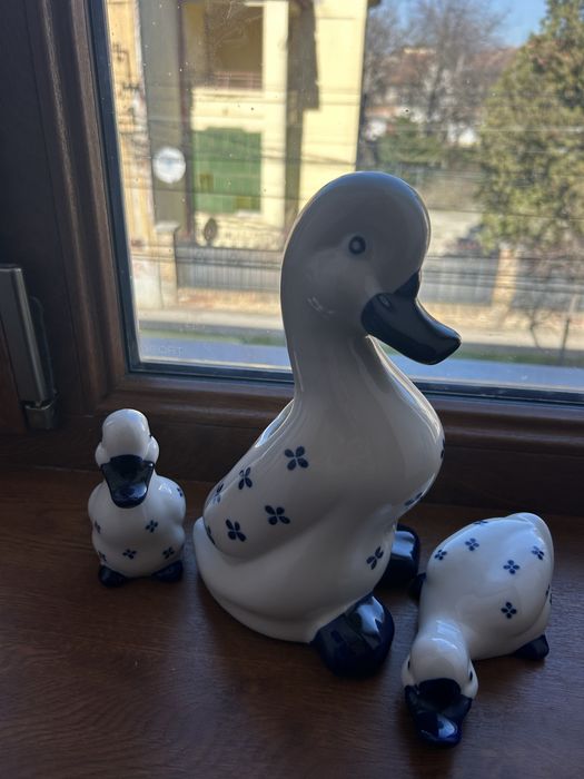 Vaza ratusca cu bobocei