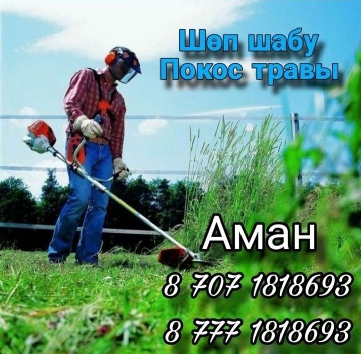 Шөп шабу  Покос травы