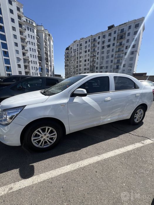 Cobalt AT 2023 Toza