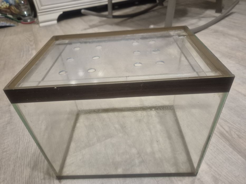 Аквариум для улиток