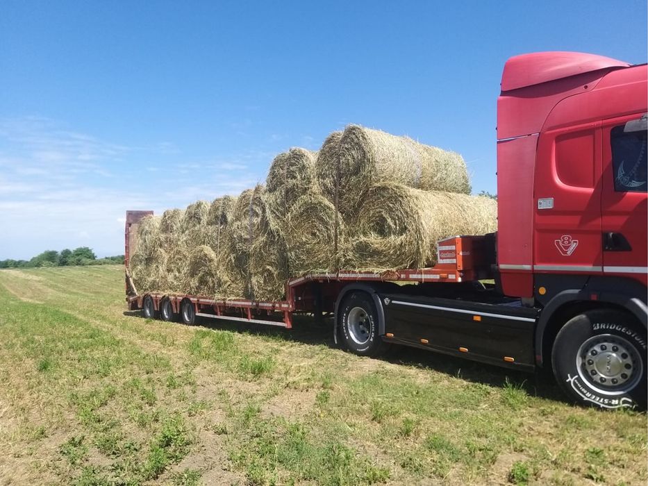 Transport(trailer) Tractări auto(DN1,utilaje constructii. VULCANIZARE!
