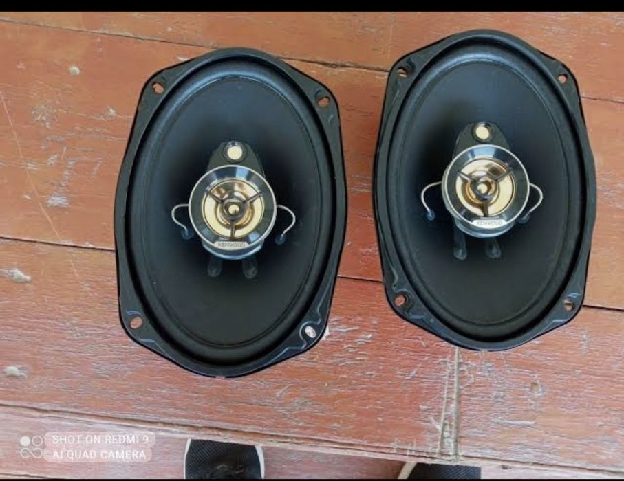 kenwood kalonka arginal