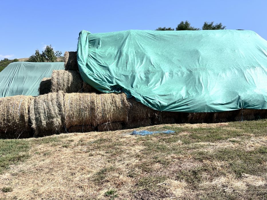 baloti de lucerna si otava certificati ecologic