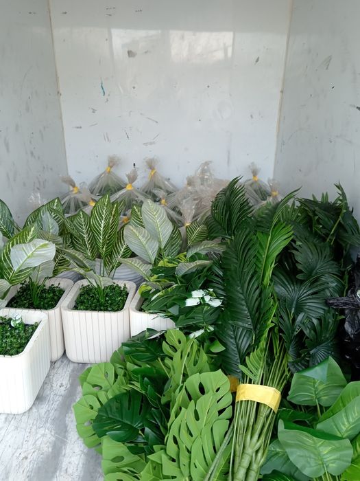 Цветы. Суний гуллар. Искусственные цветы