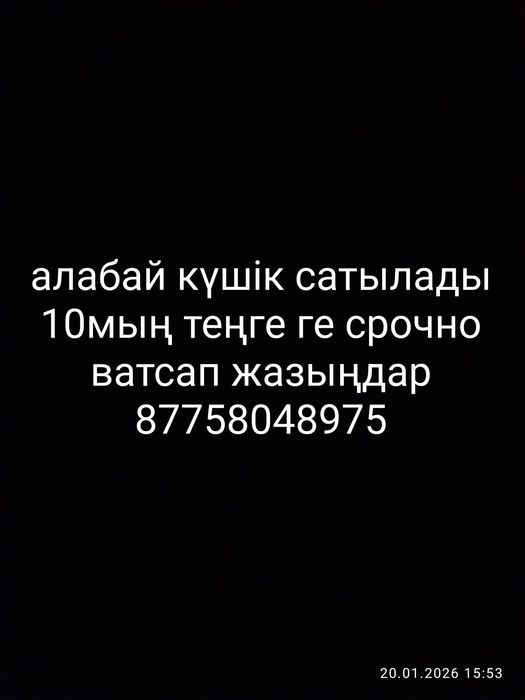 Срочно 10мың теңге
