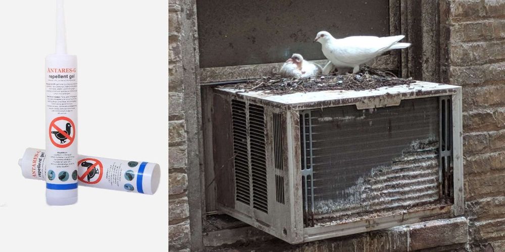 Гель против птиц! (Отпугиватель)