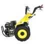 Motocultor ProGarden CampoU16E 14CP Reductor Freza tractata Ft90 900mm