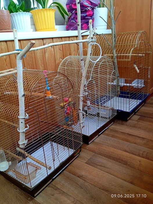Клетки для попугаев