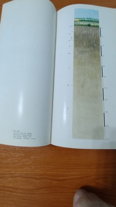 *Solurile României : Constantin D. Chiriță / altele