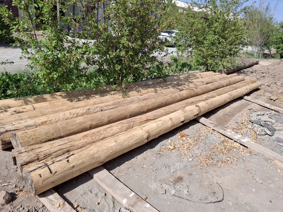 Sasno ogʻoch sotiladi