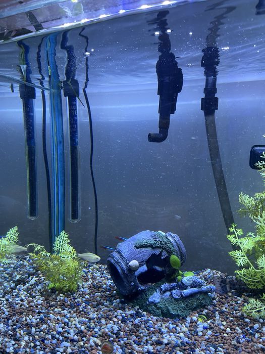 Poveste acvatica de vanzare