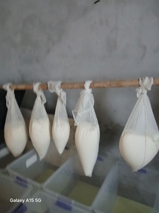 Vând  branza vaca  cantități mici și mari