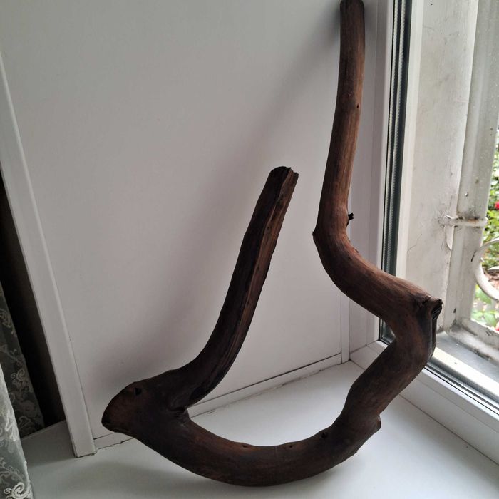 Коряга в аквариум