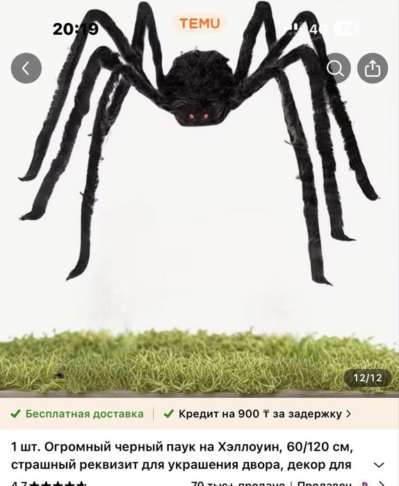 Продам огромного паука