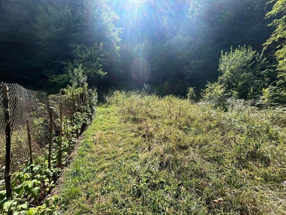 Продава се Парцел в Габрово, Етъра - 1168 кв.м за 15 €/кв.м - Снимка #1