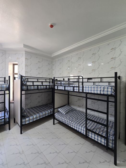 Gibo Hostel Samarqanda / Хостел в Самарканде