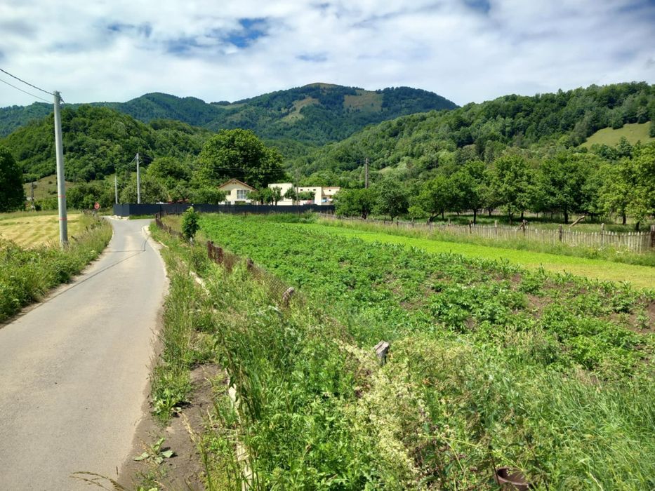 Teren de inchirat