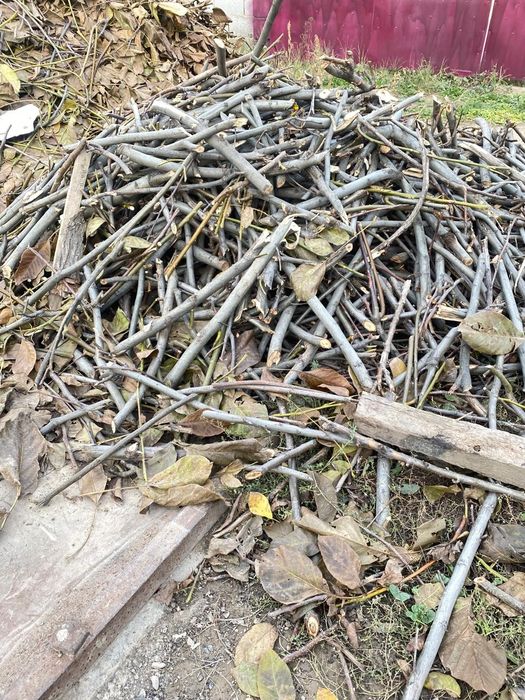 Дрова готовые для испрльзрвания