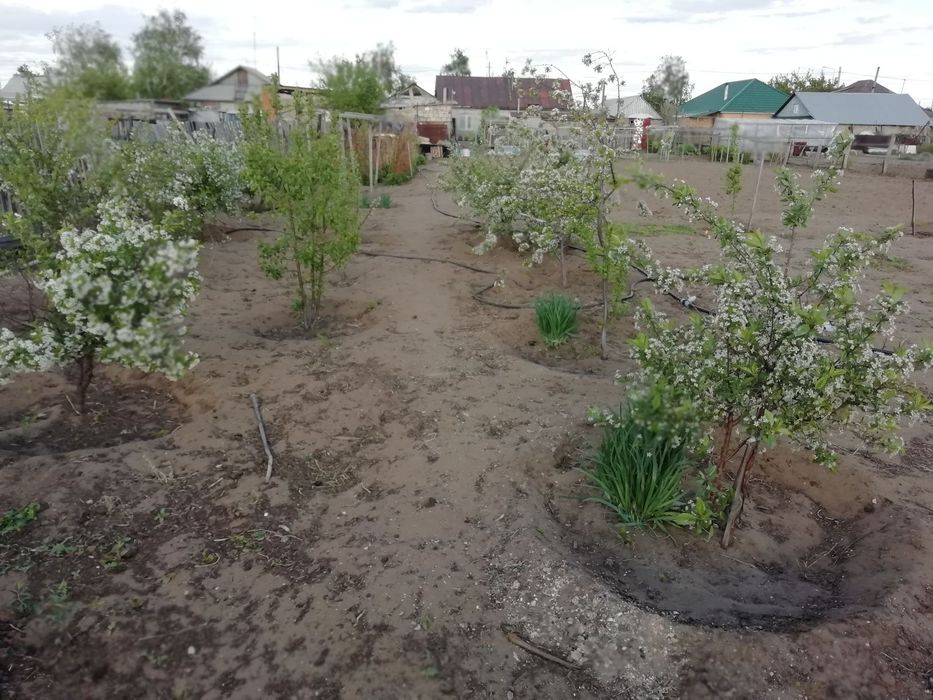 Продам 4-х комнатный дом с. Павлодарское