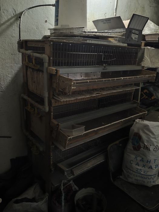 Продам клетку для перепелов не дорого