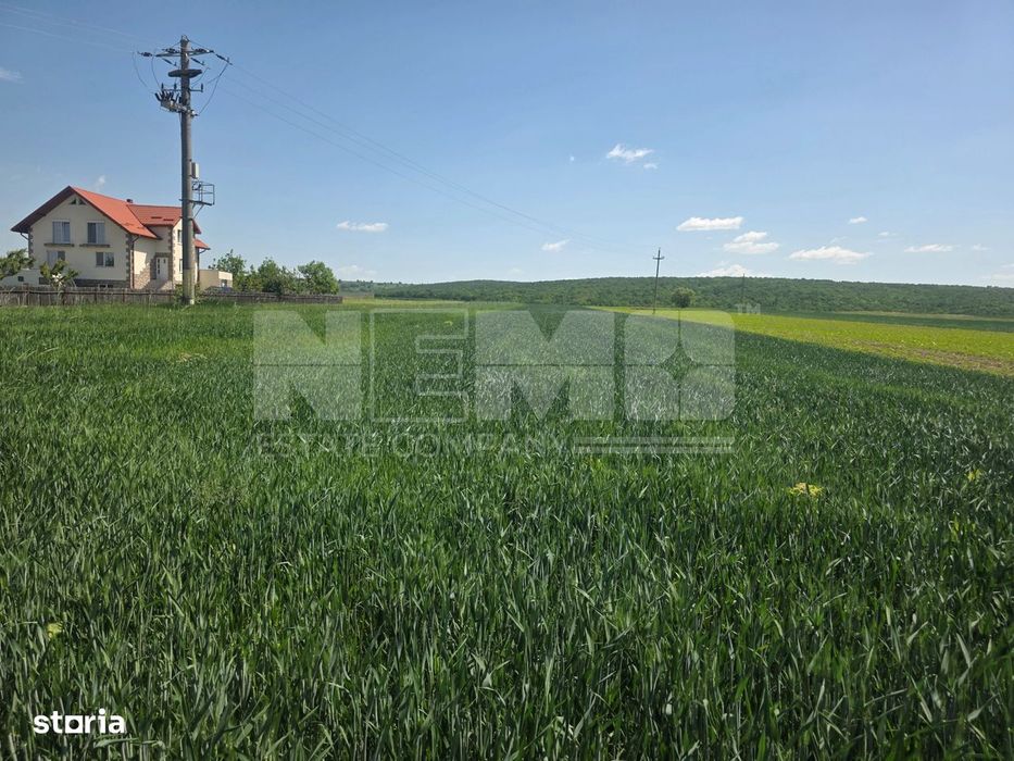 Teren Extravilan | Mitocu Dragomirnei | 2.600 Mp