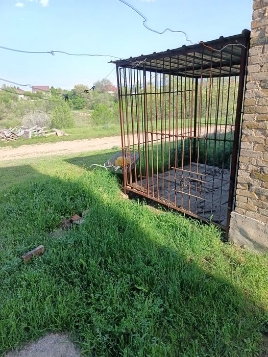 Ассалаумағалайкум