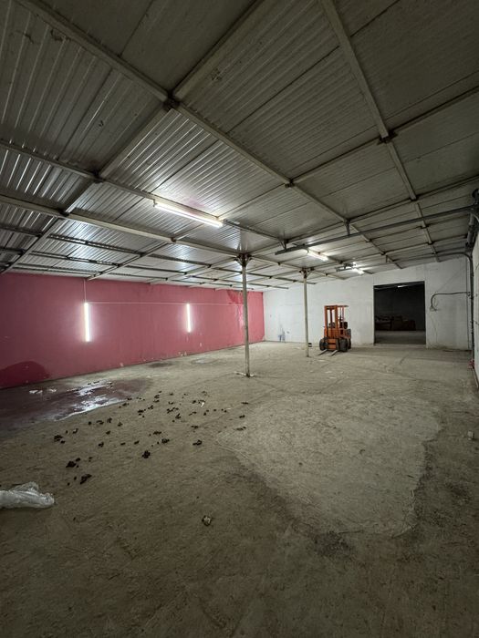 Hala 300 mp2+Curte Betonata 800 mp2