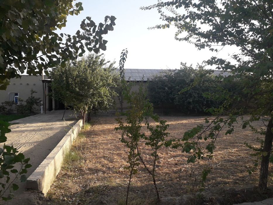 Koʻchmas mulk  xususiy uylar