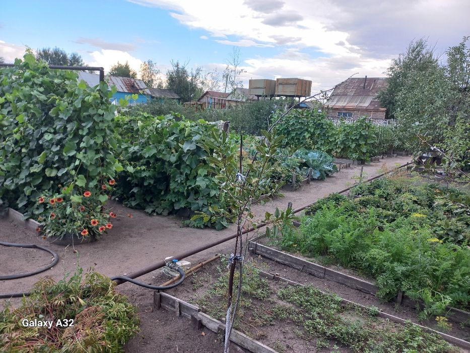 Продам дачу на Мирном