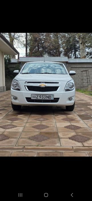 Аренда сухая! Кобальт