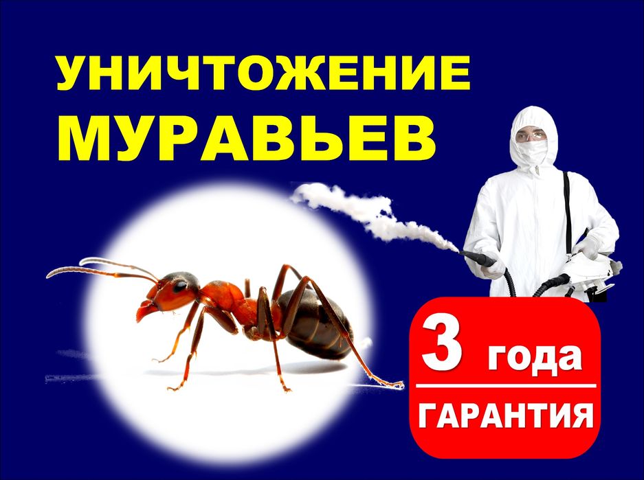 Дезинфекция муравьёв Семей