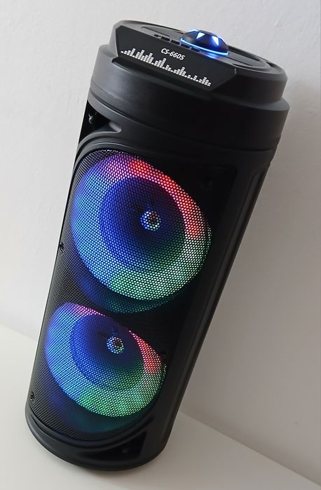 Boxa Portabila (cu Microfon)