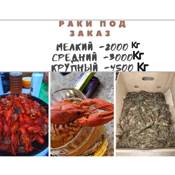 Живые свежие раки