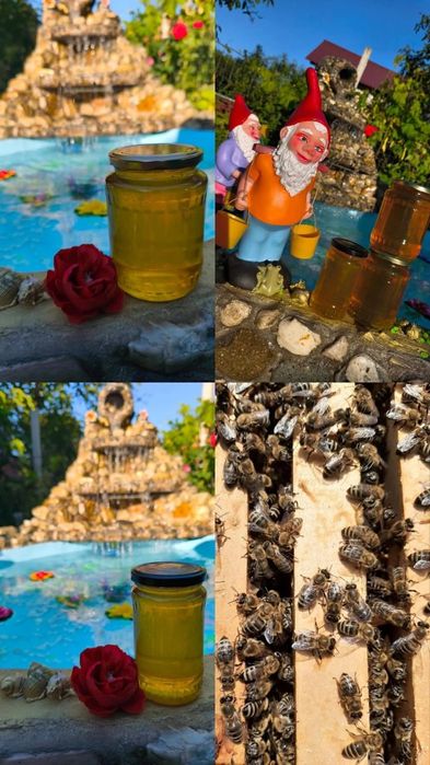 Miere poliflora 100% naturala