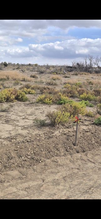 Земельный участок