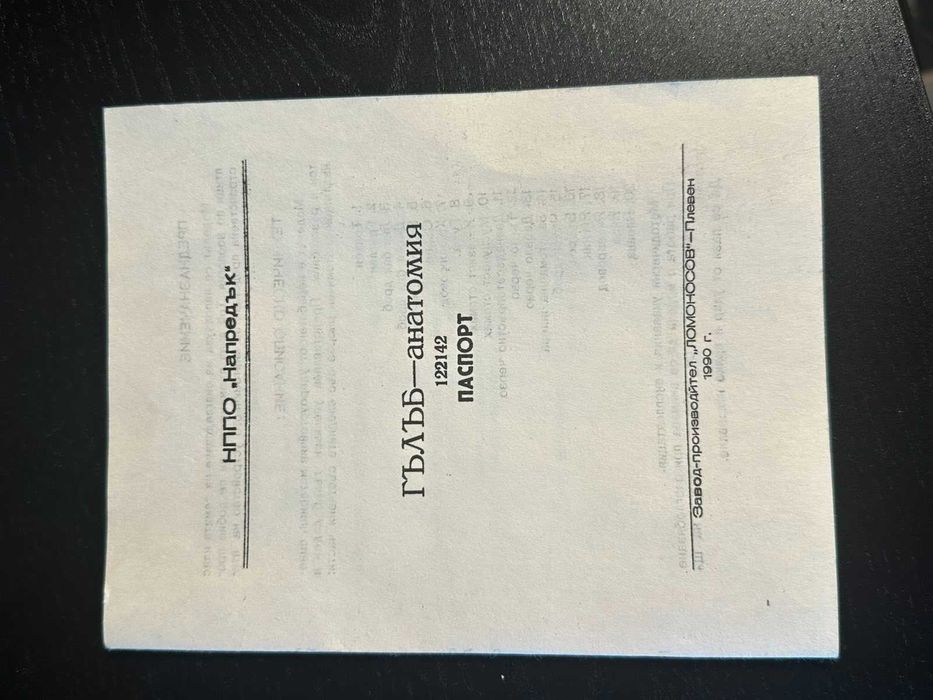 Соц Учебен Анатомичен Модел на Гълъб