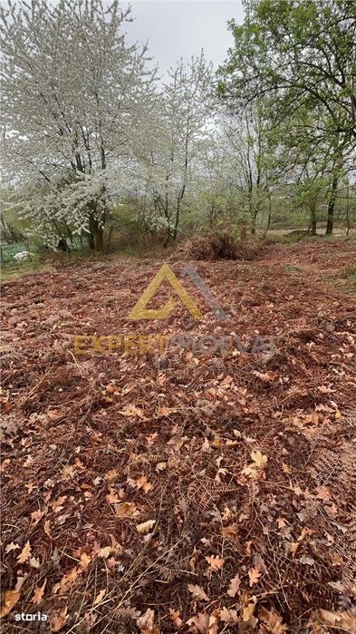 Teren intravilan in spate la Castel Transilvania 1.000mp