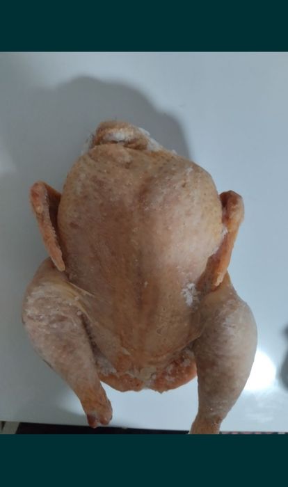 Мясо домашних бройлеров