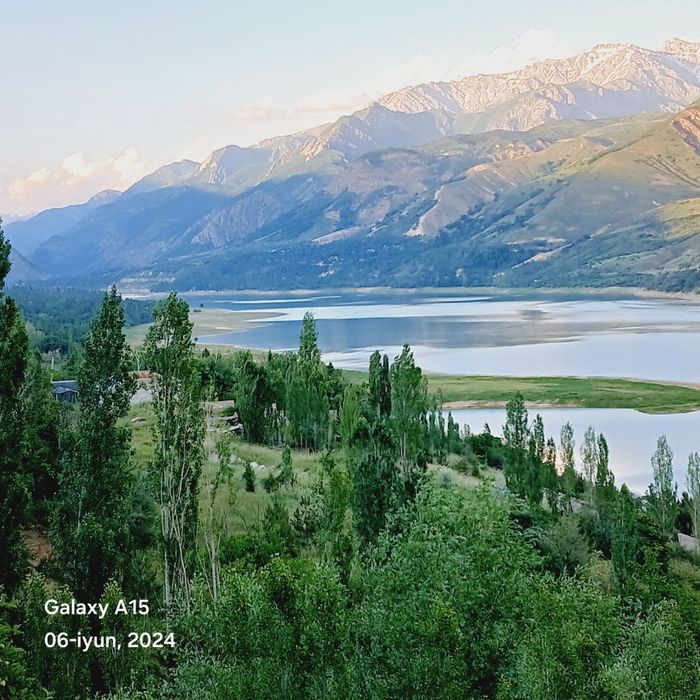 4 сотихдан 40 сотигача ерлар бор нархи устида гаплашилади  холис хизма