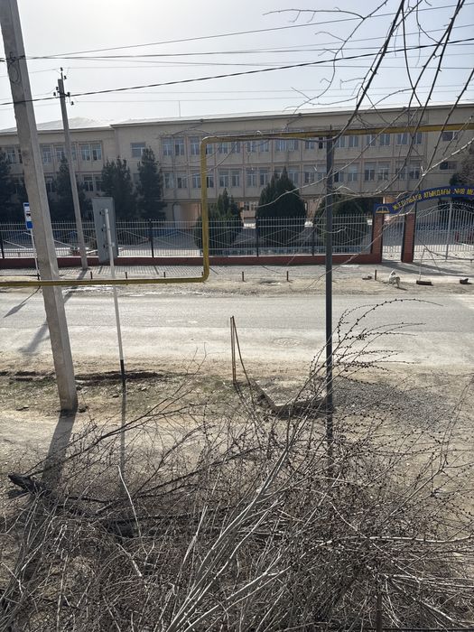 Қара ағаш бар отынға тегін