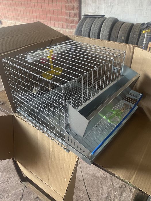 Клетка для перепелов